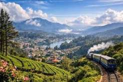 Ooty