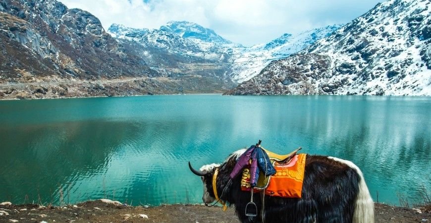 Twin Gems of the Himalayas