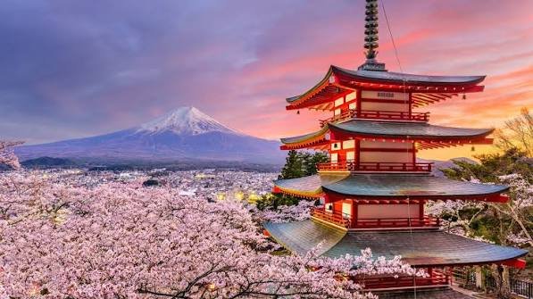 Japan for all - Mt. Fuji, Tea Rituals, City Highlights & Hiroshima’s Past