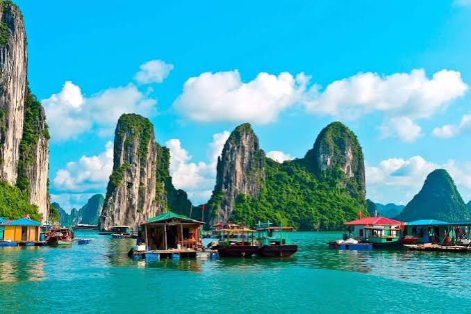 Phu Quoc Island & Safari Experience