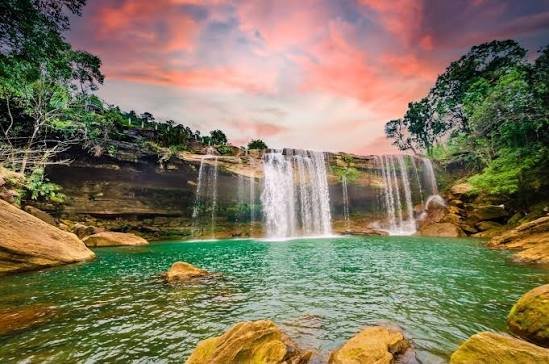 Hills & Hornbill Tour