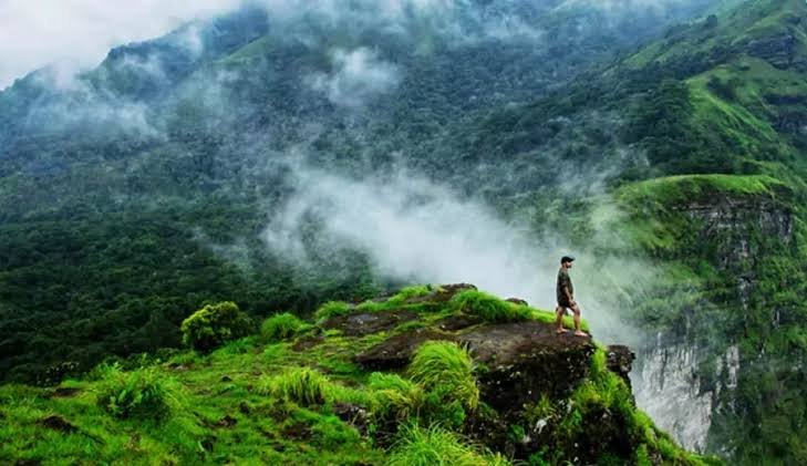 Coorg Unplugged – A Windflower Escape Amidst Coffee Estates